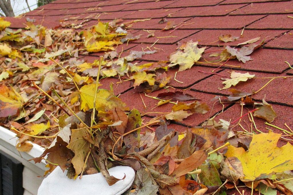  Damaged Or Clogged Gutters